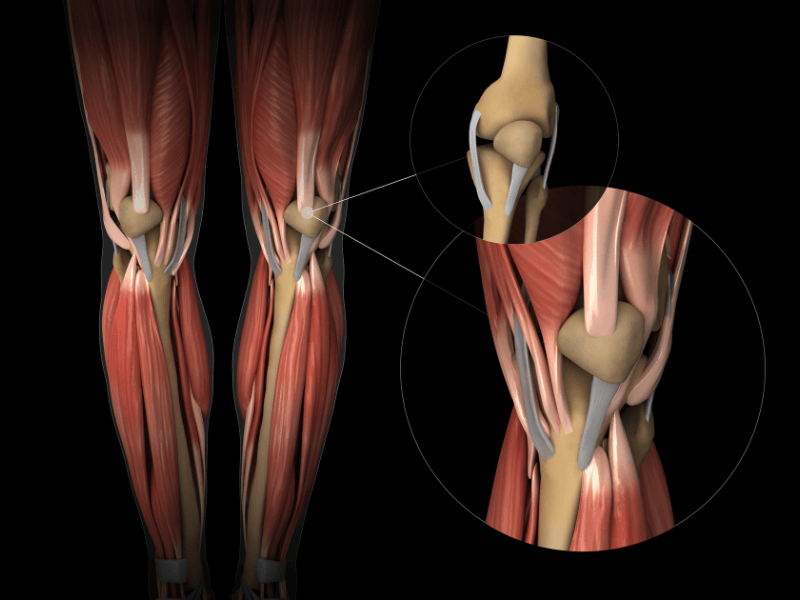 Đau đầu gối do gân cơ: Nguyên nhân, triệu chứng và chẩn đoán