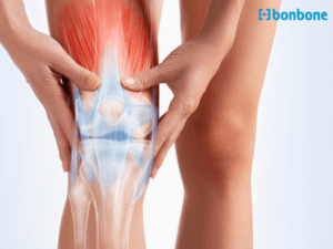 Đai khớp gối cho người lao động nặng: Bảo vệ sức khỏe trong công việc khắc nghiệt