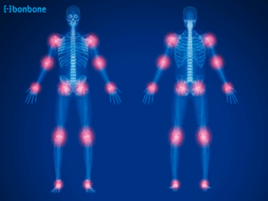 Các loại khớp trong cơ thể và chức năng của chúng: Phân tích chi tiết từ góc độ sinh học