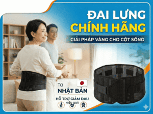 Đai lưng bonbone chính hãng: Giải pháp vàng cho cột sống từ Nhật Bản