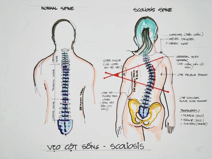 Sự khác biệt giải phẫu và sinh lý giữa nam và nữ